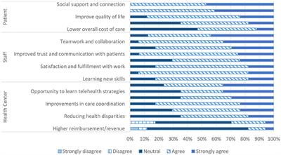 Adapting in-person diabetes group visits to a virtual setting across federally qualified health centers